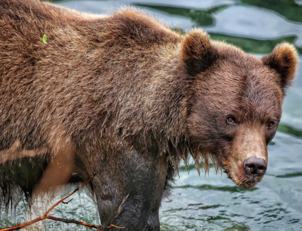 One fishing trip in Alaska