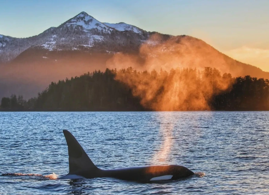 A single fishing tour in AK