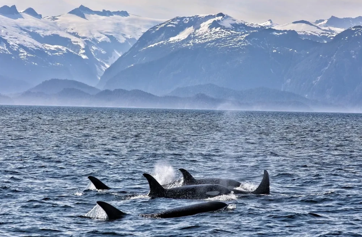 A fishing tour in Sitka, Alaska