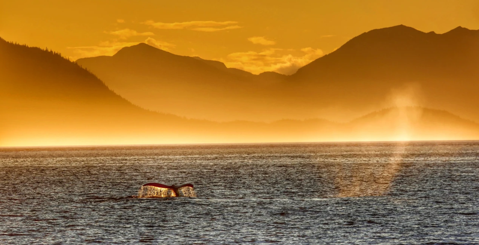 Scenic view of Sitka, Alaska with fishing tours on the water