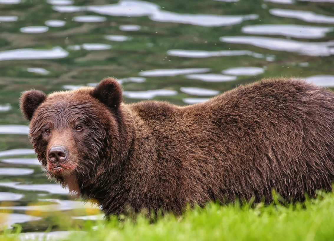 Person fishing in Sitka, Alaska