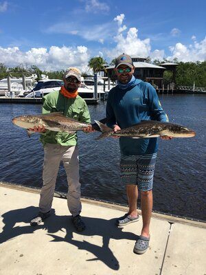 Two king mackerel, 33 inches, fishing in FL