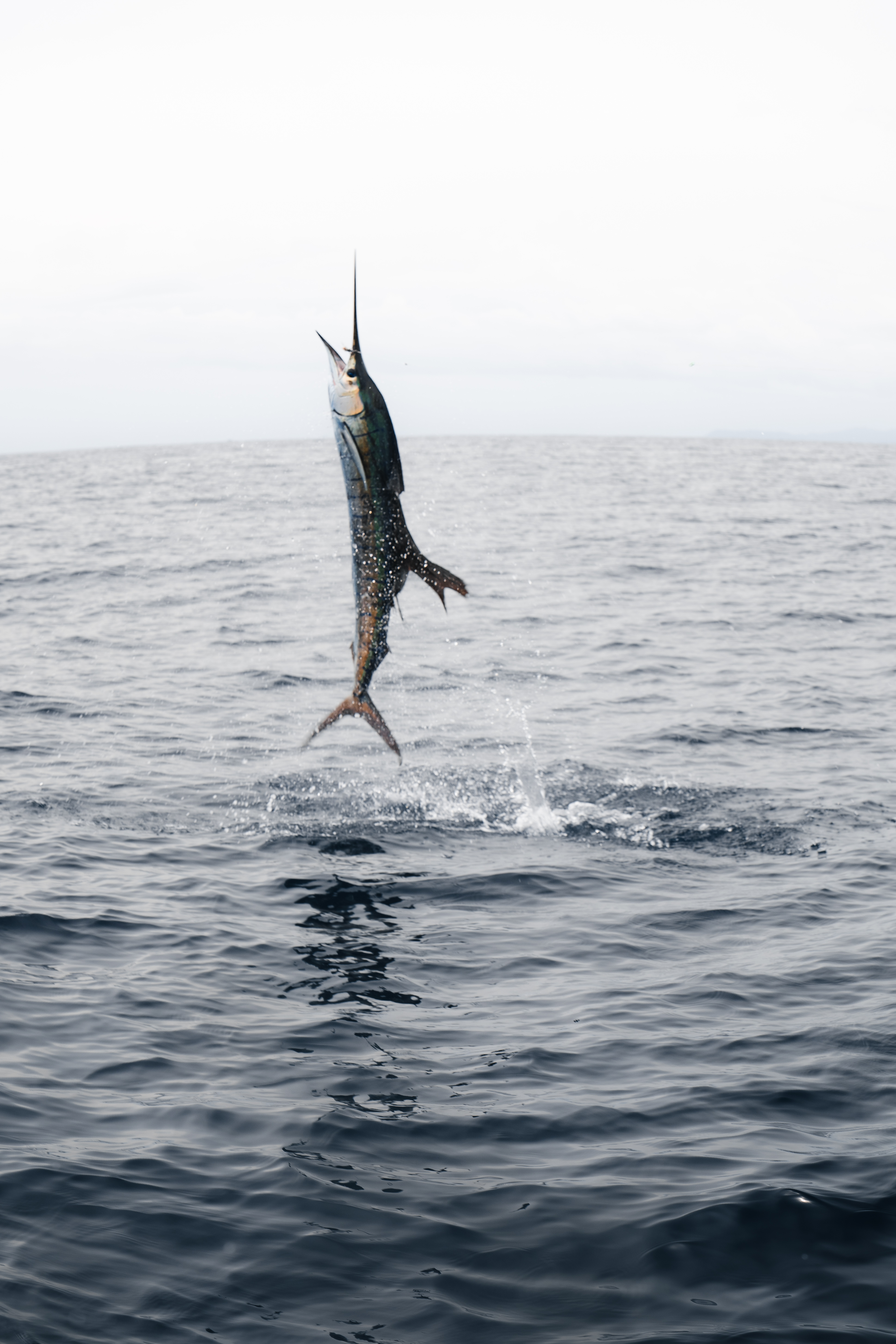 Scenic view of Tamarindo beach during a fishing trip