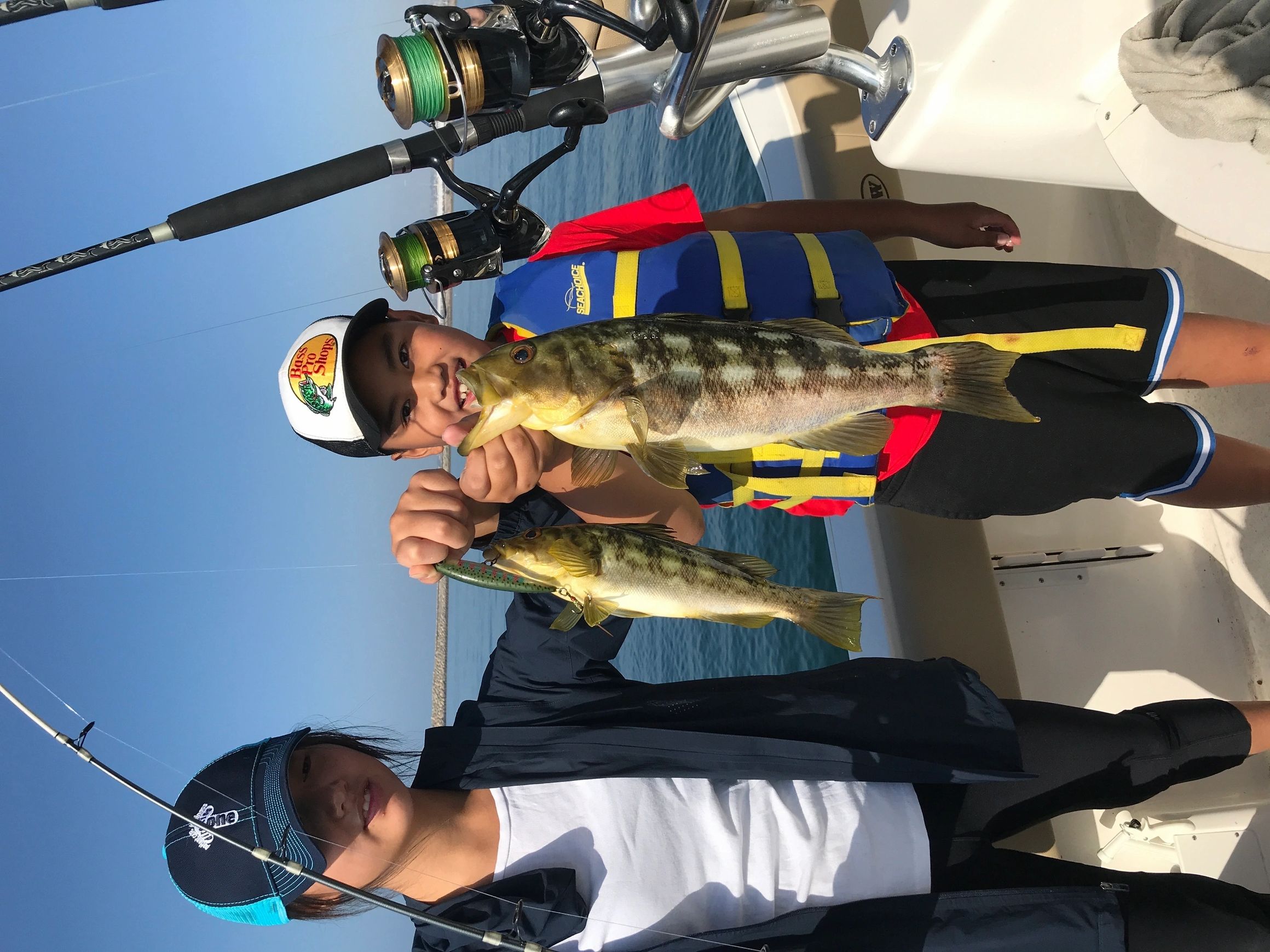 2 kelp bass caught in CA