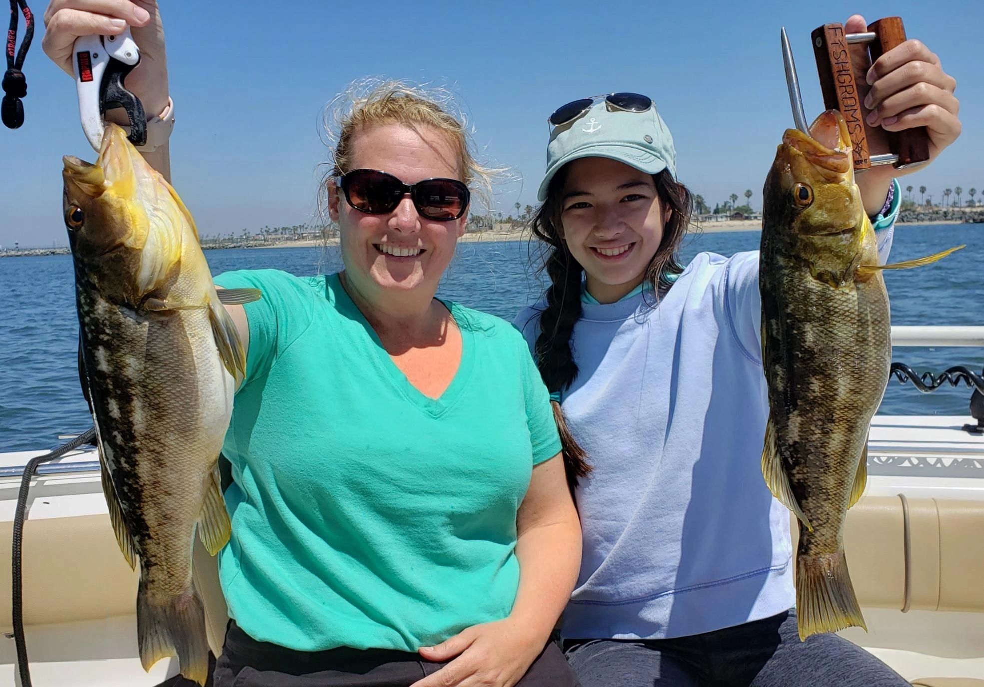 Two kelp bass fish caught in CA