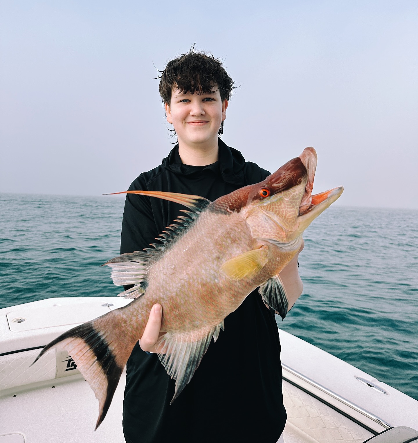 Hogfish caught while fishing in FL