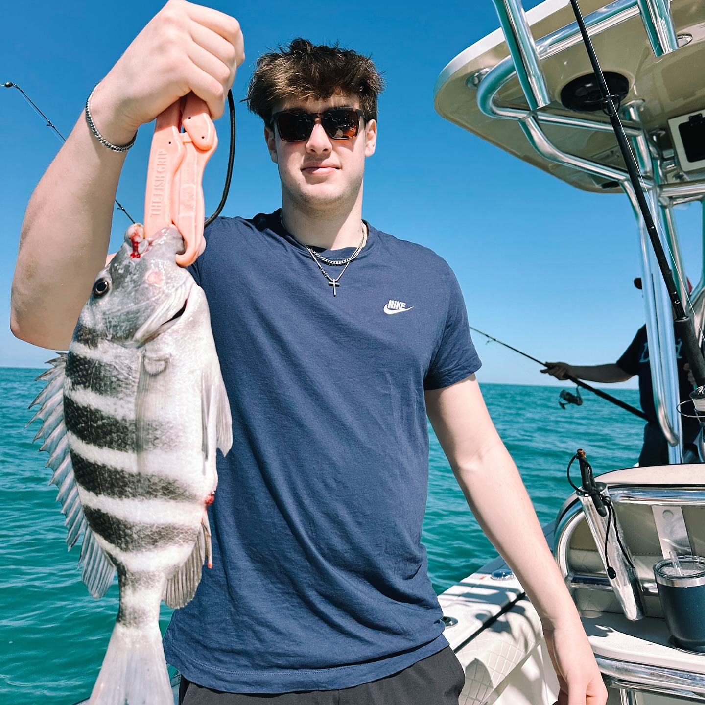 Sheepshead fish caught while fishing in Clearwater
