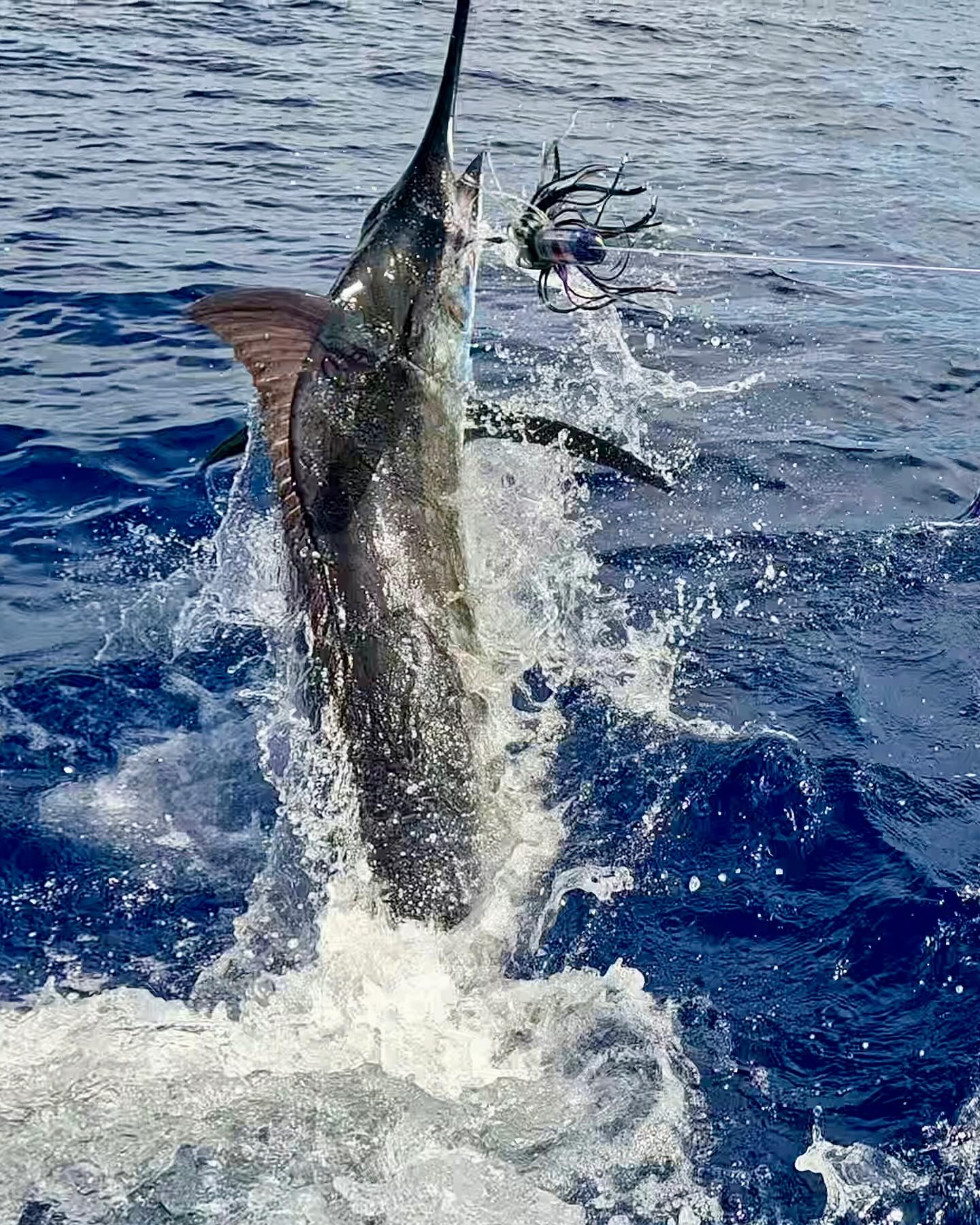 Fishing in Hawaii