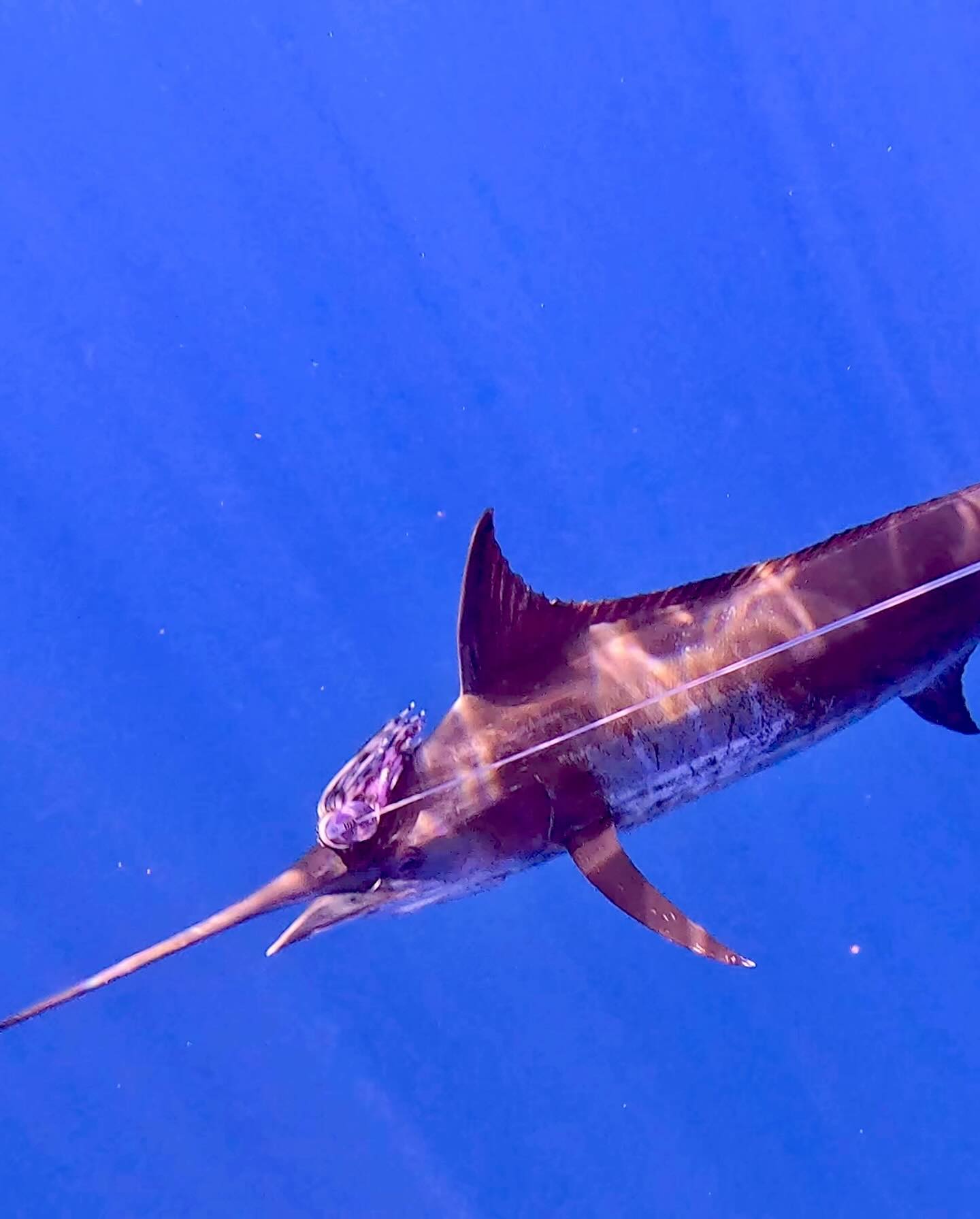 Fishing trip in HI
