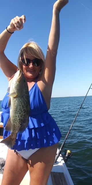 Gag grouper caught while fishing in Tampa FL waters