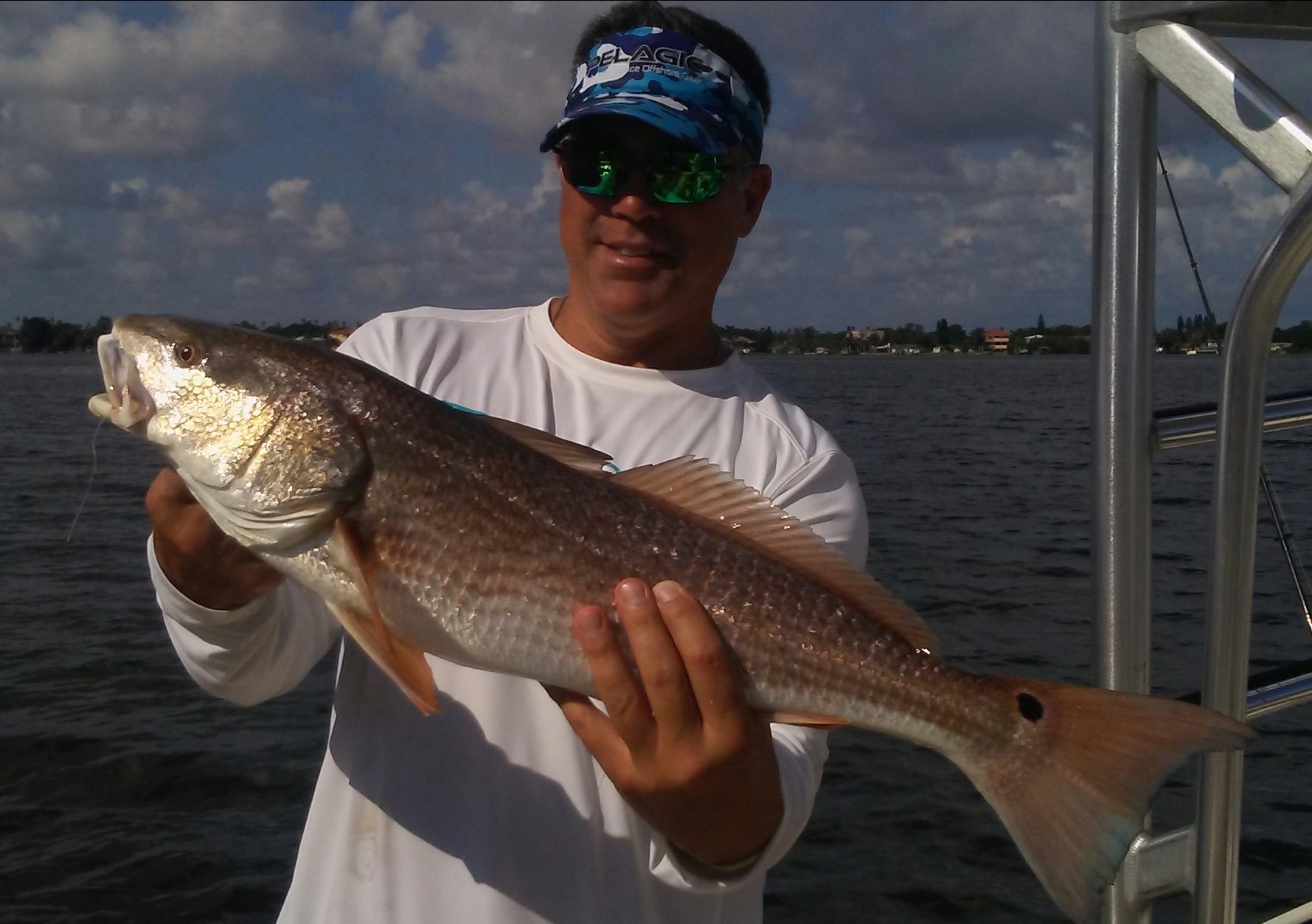 Redfish caught while fishing in Tampa FL waters