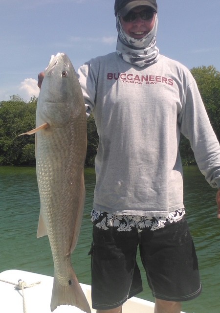 Freshly caught redfish displayed on boat in Tampa FL waters