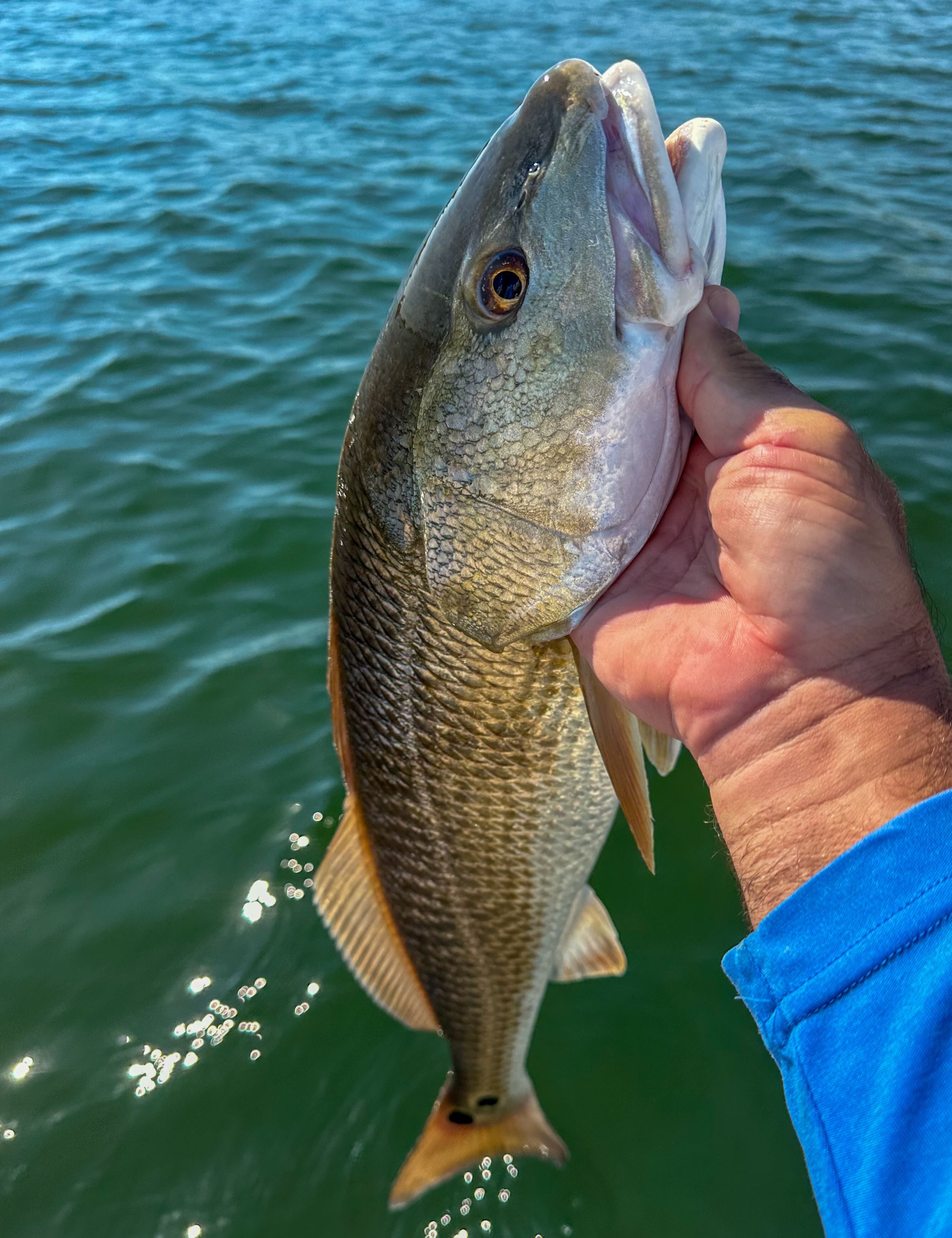 Fishing in Florida