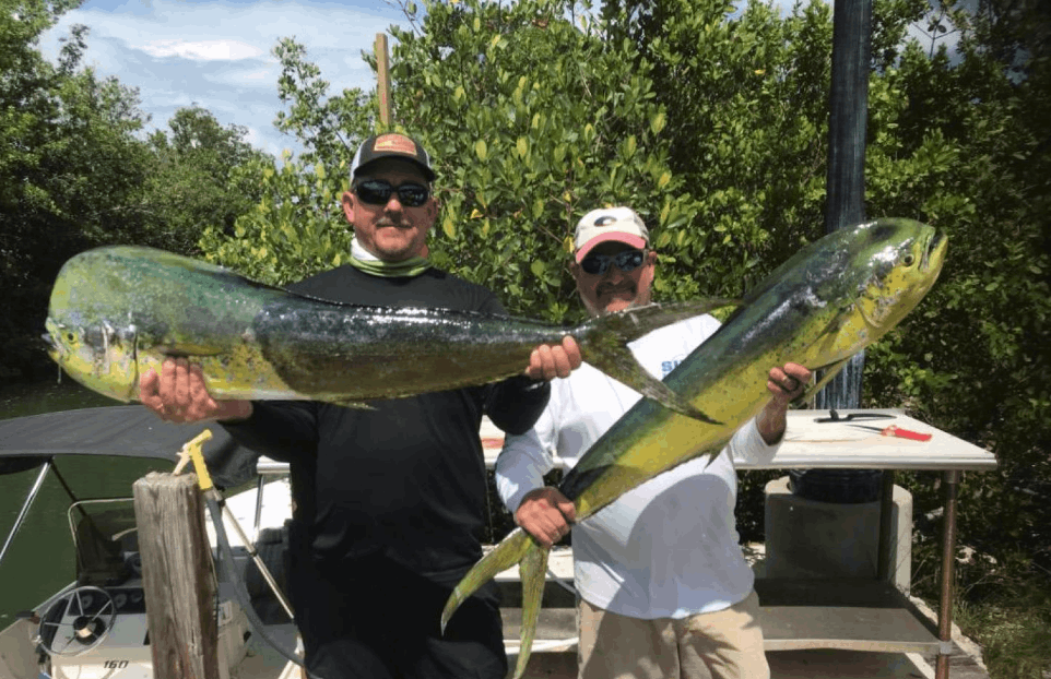 2 fish caught in Islamorada, FL