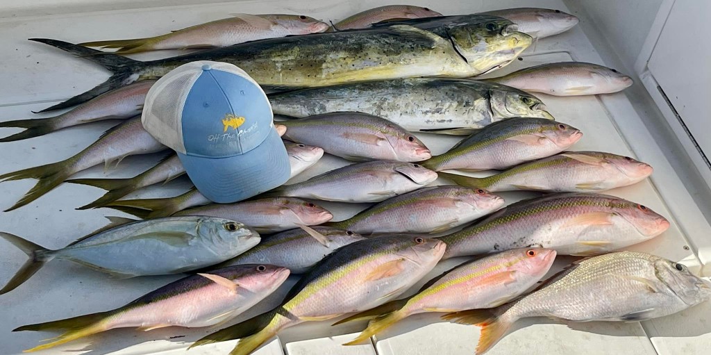 10 blue runner fish caught in Key West