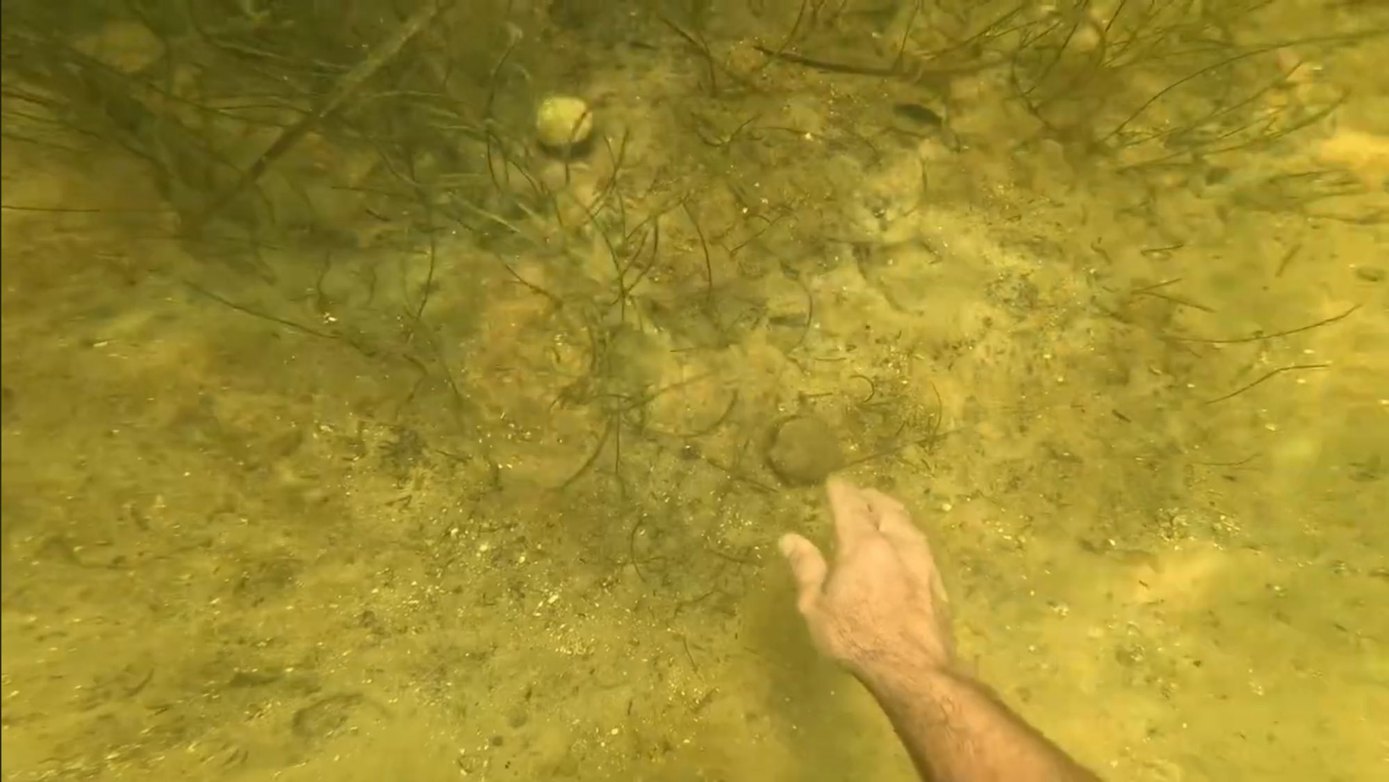 Fishing in the beautiful state of Florida