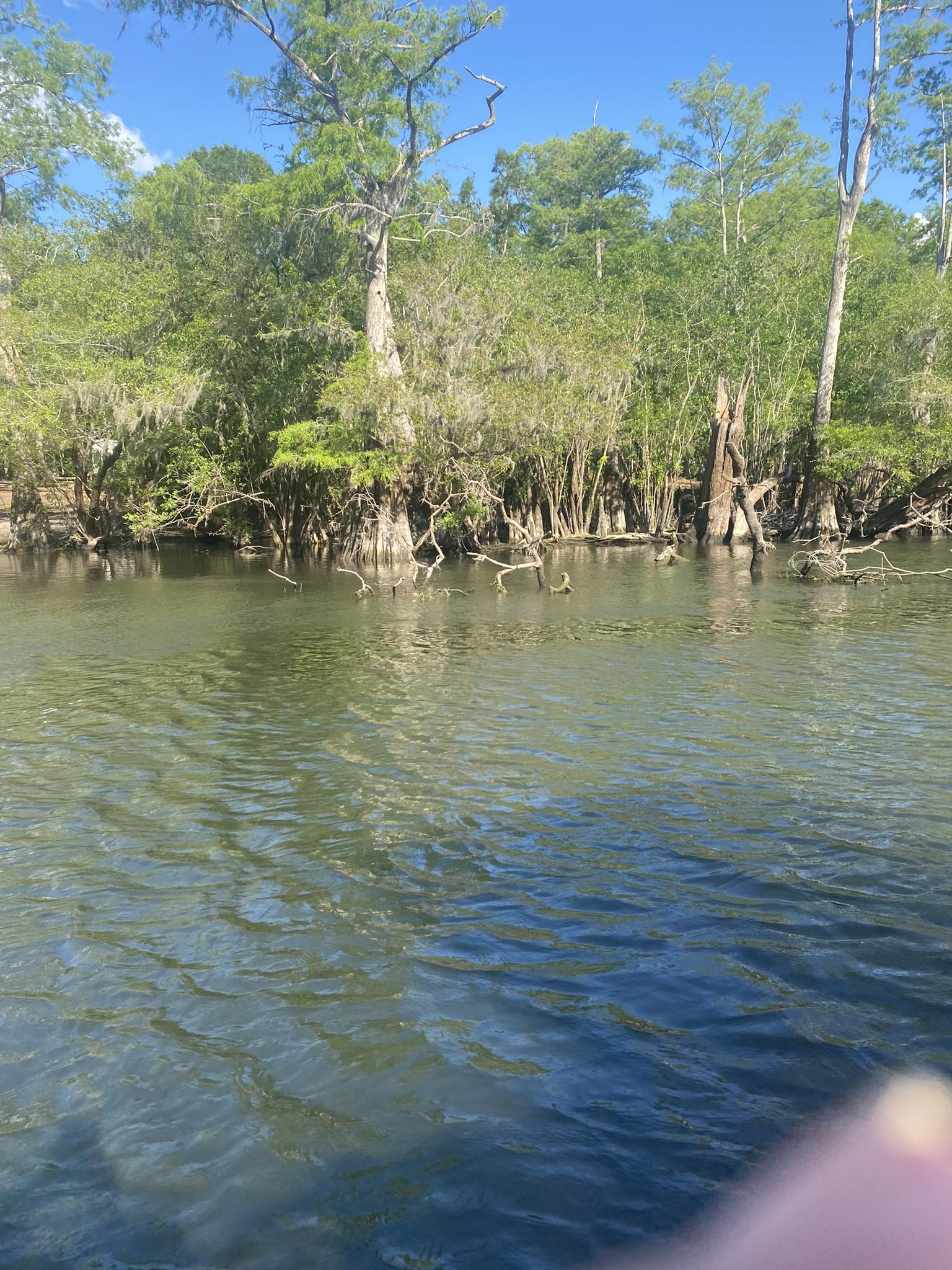 Scenic view of Horseshoe Beach