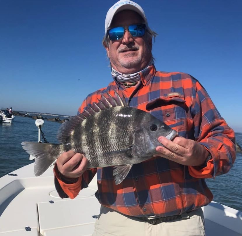 Sheepshead fish caught while fishing in Jacksonville