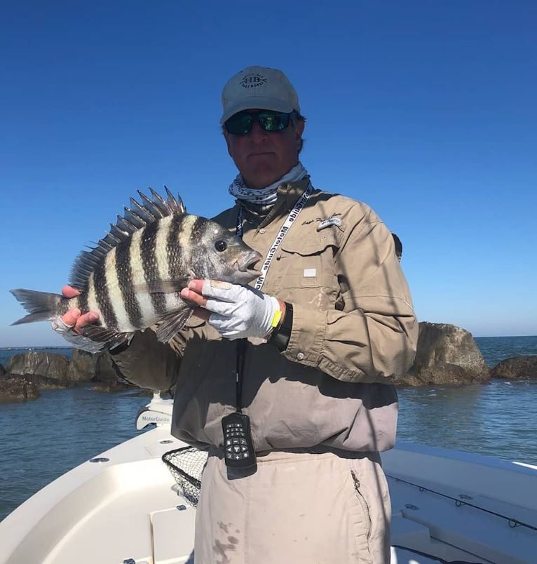 Sheepshead fish caught while fishing in FL