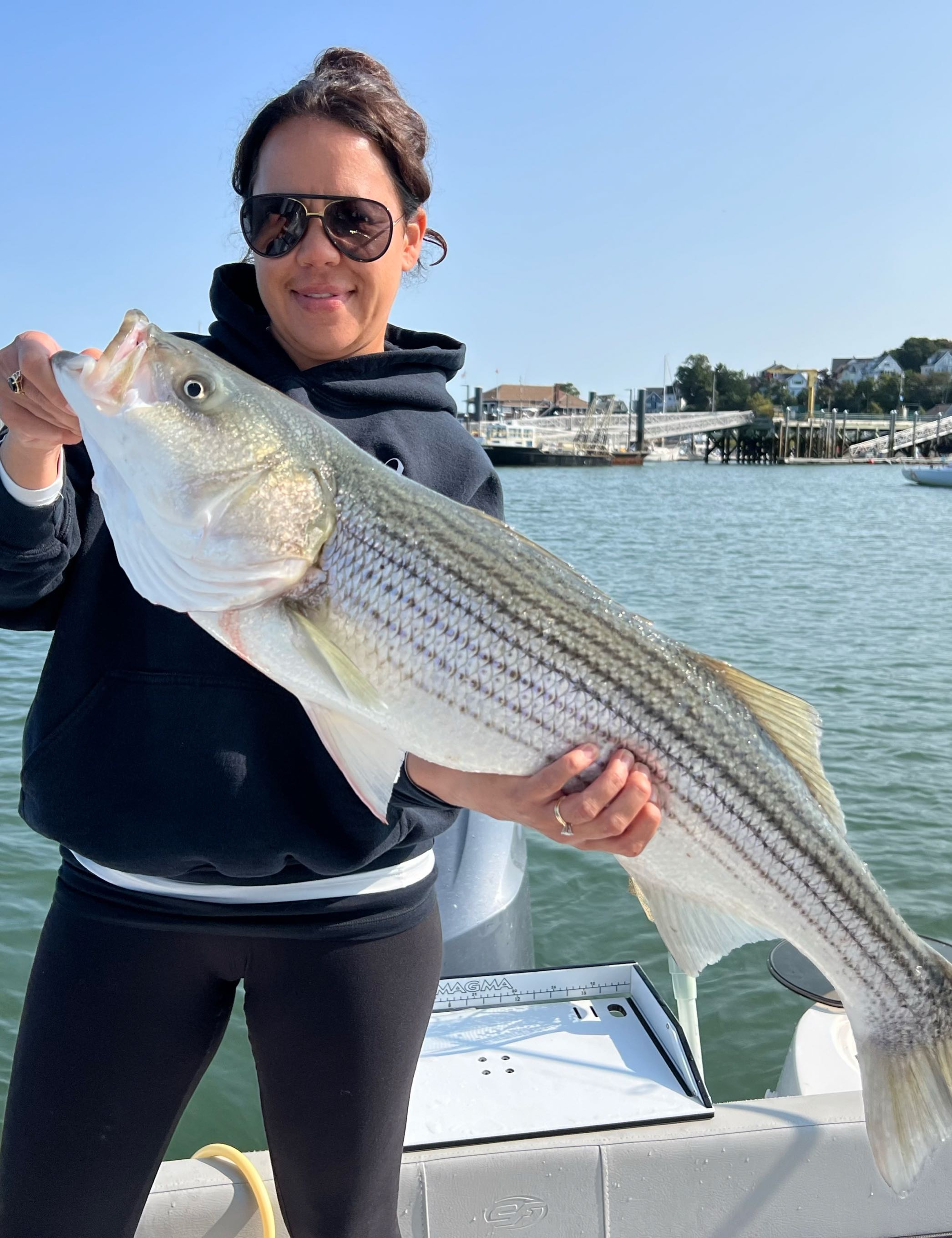 Striped bass caught in Winthrop during fishing cruises