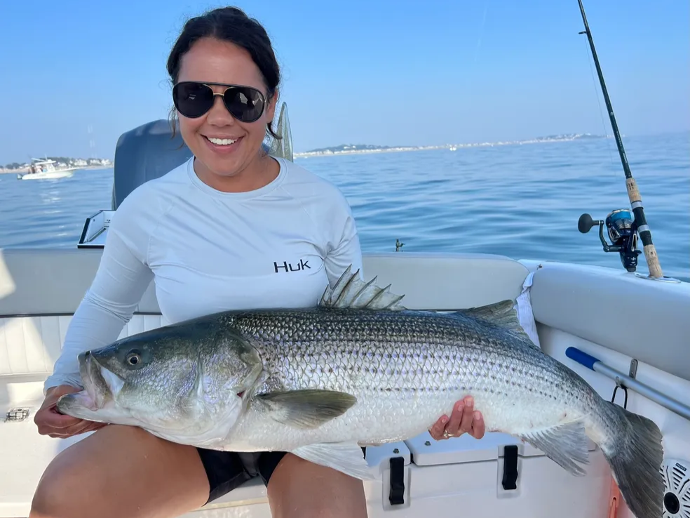 Striped bass caught on fishing trip in MA