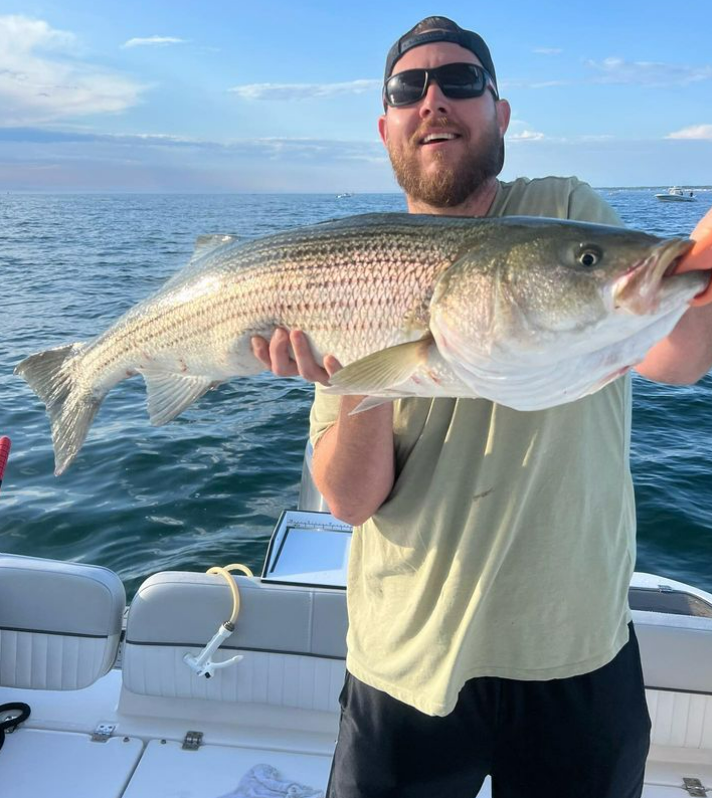 Striped bass caught by angler in Winthrop
