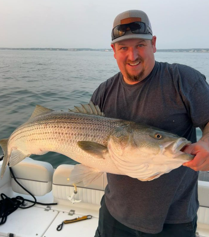 Striped bass caught on cruises and fishing trip in Winthrop