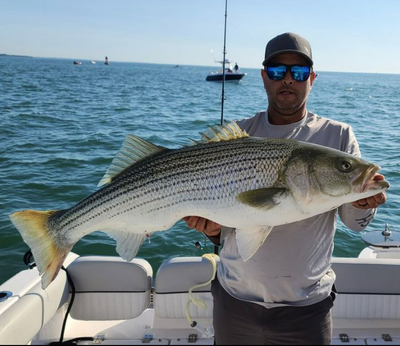 Striped Bass, 36-inch fish caught in Winthrop