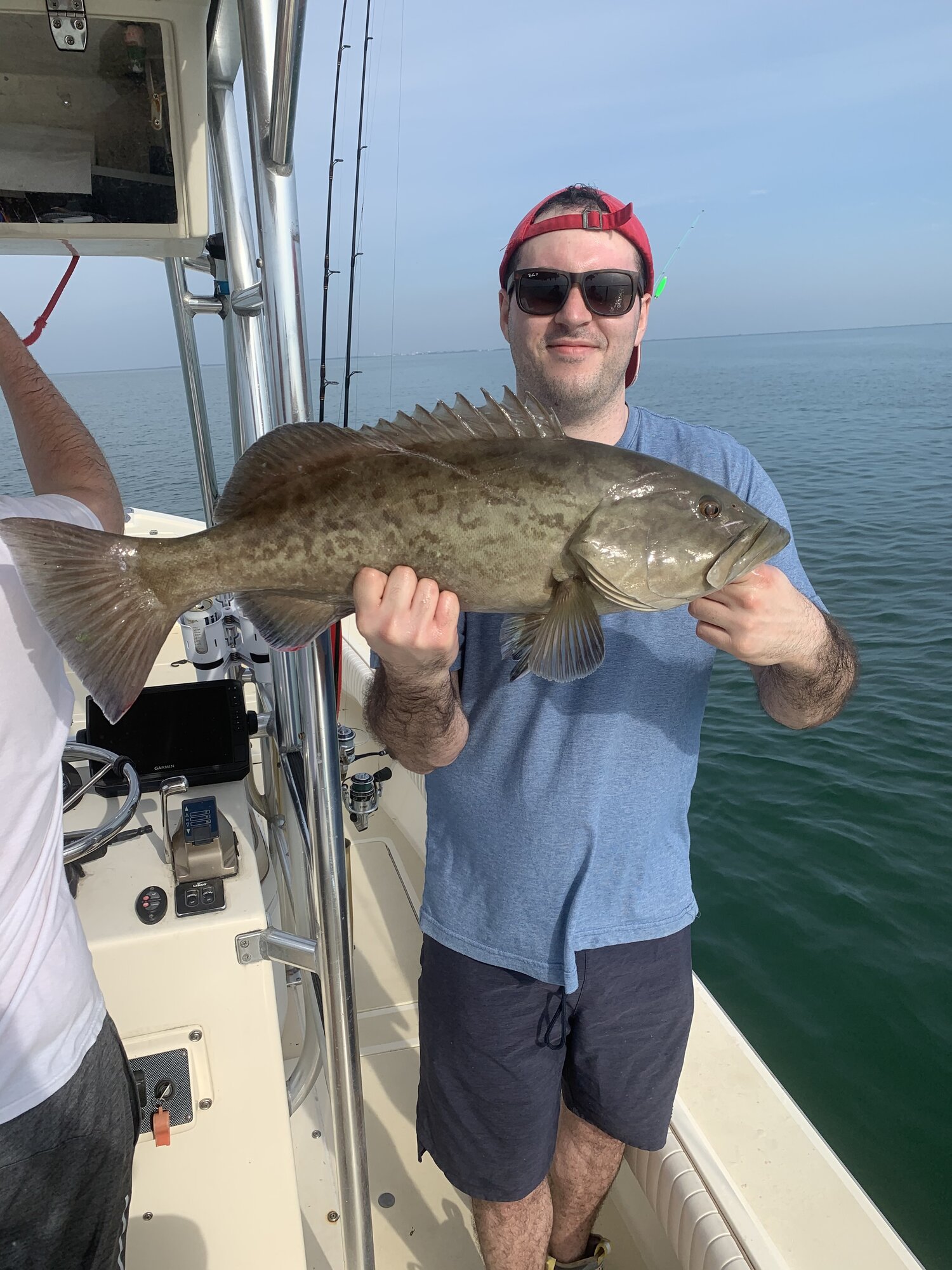 Gag Grouper, a large fish caught while fishing in St. Petersburg