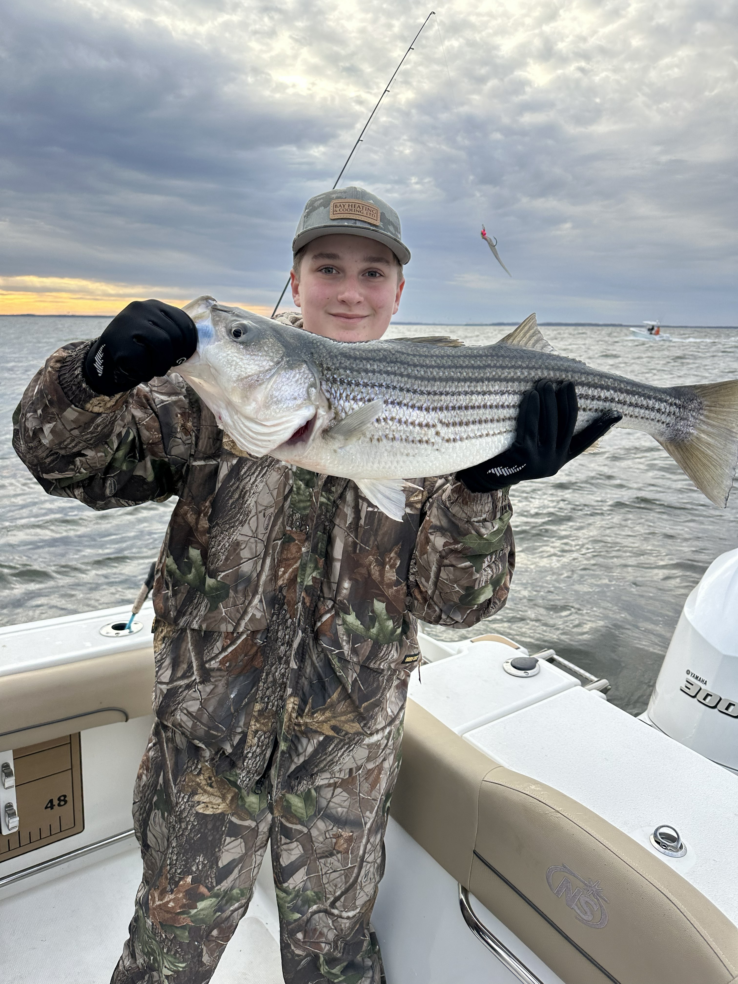 Striped bass catch displayed on fishing boat in Pasadena MD waters