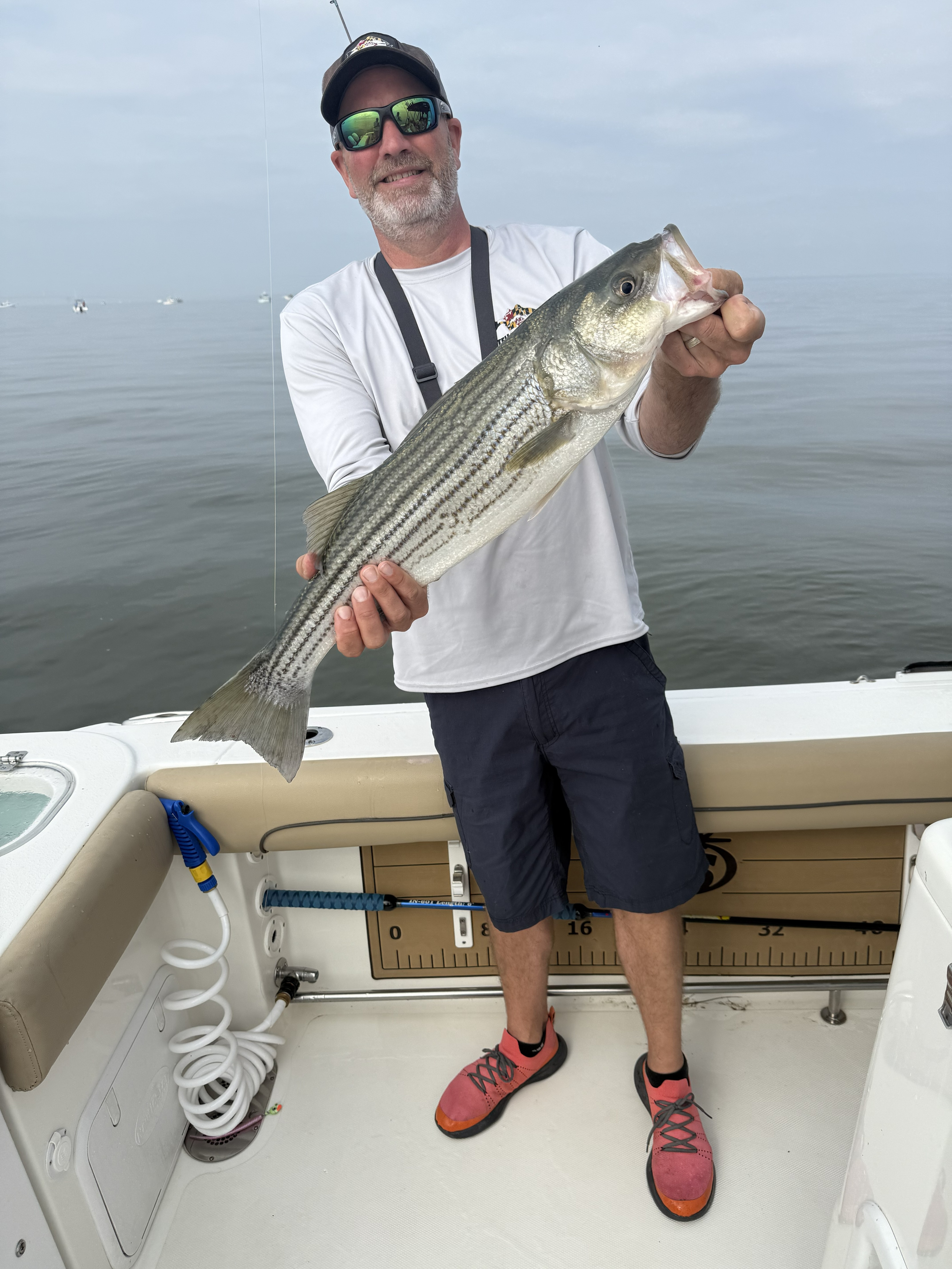 Striped bass caught fishing in Pasadena MD waters from boat deck