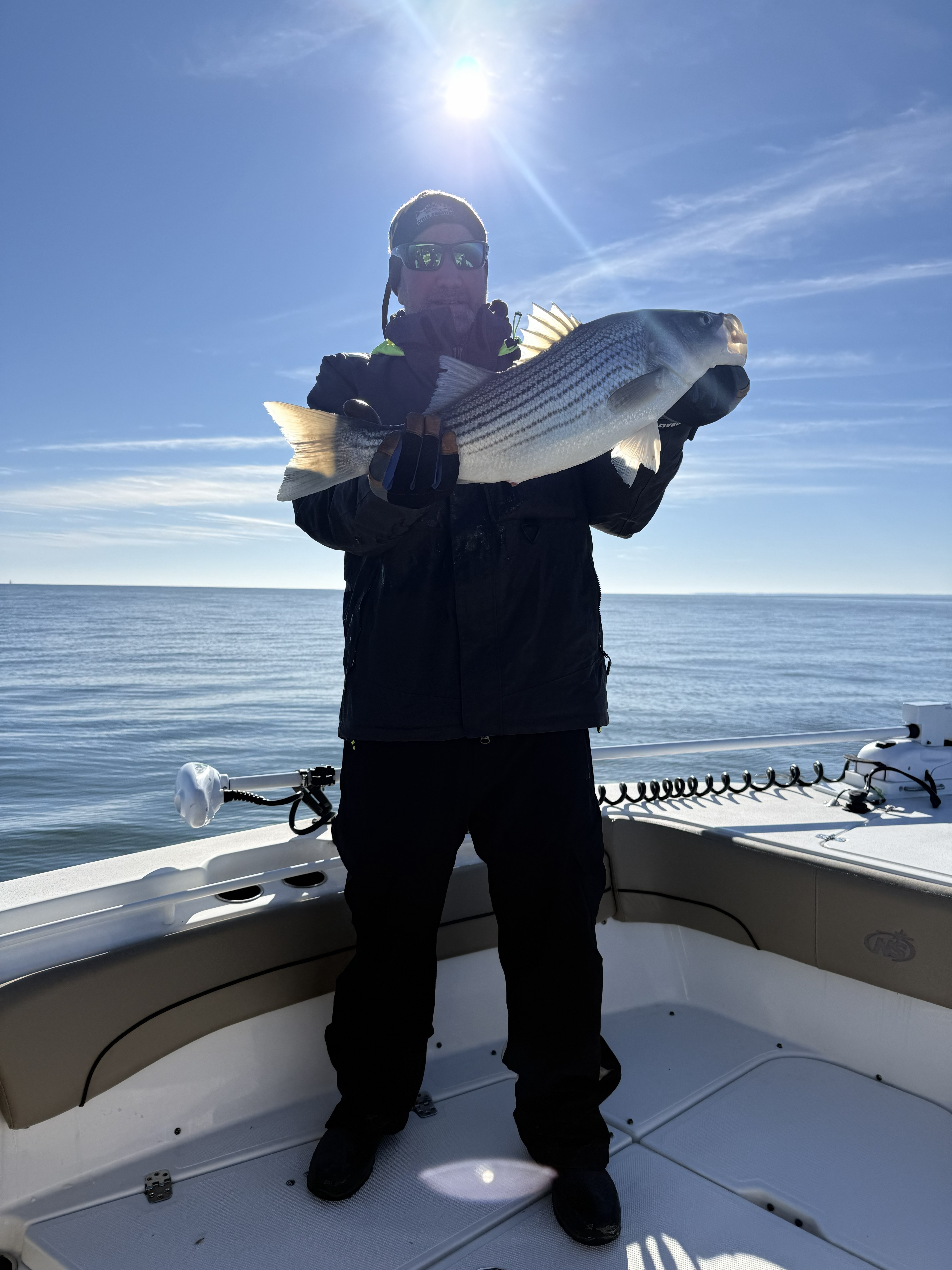 Striped bass caught while fishing in Pasadena MD