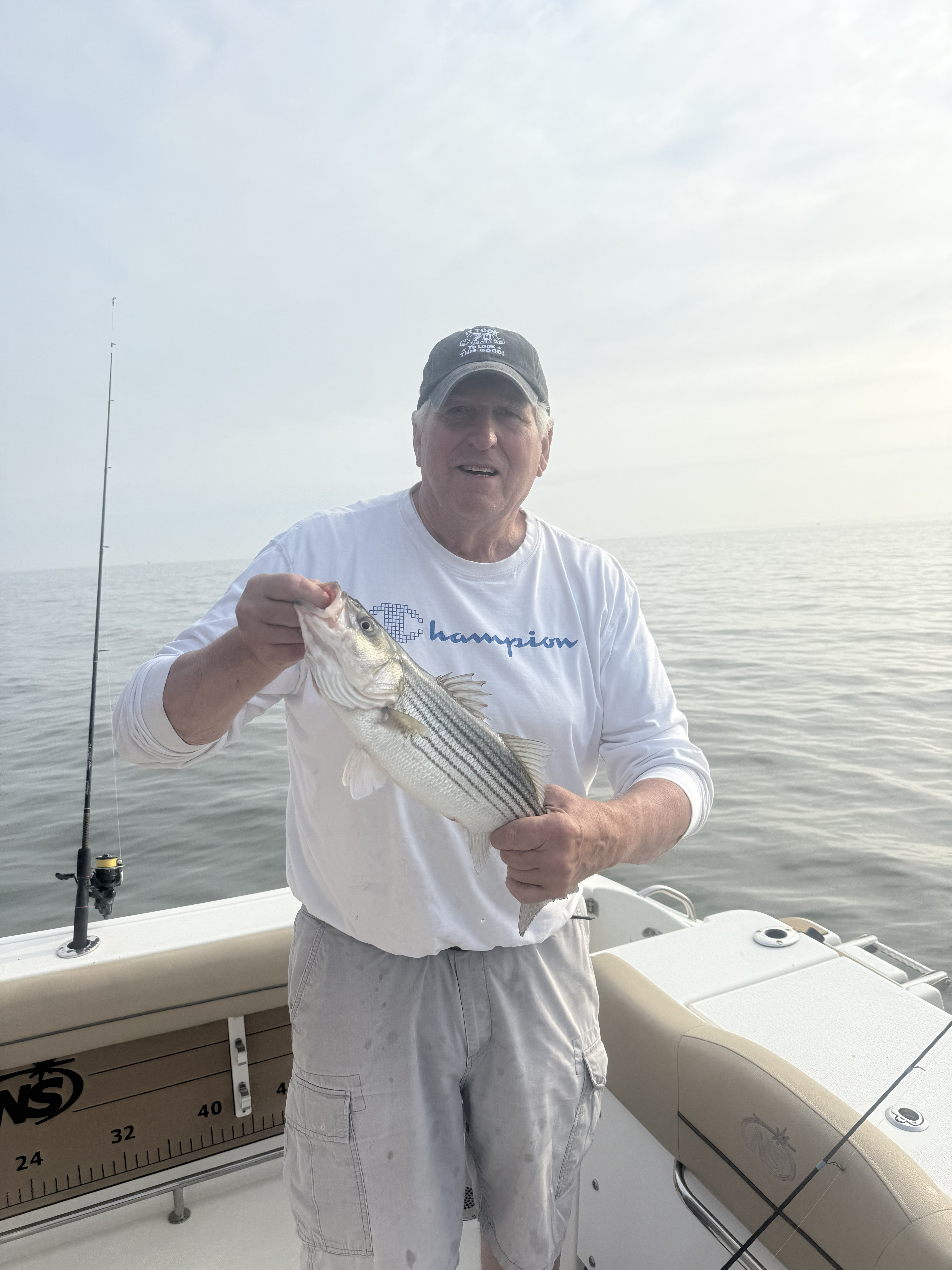 Striped bass caught while fishing in Pasadena MD waters from boat
