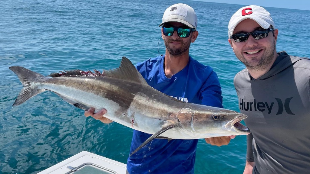 Cobia fish caught in Naples