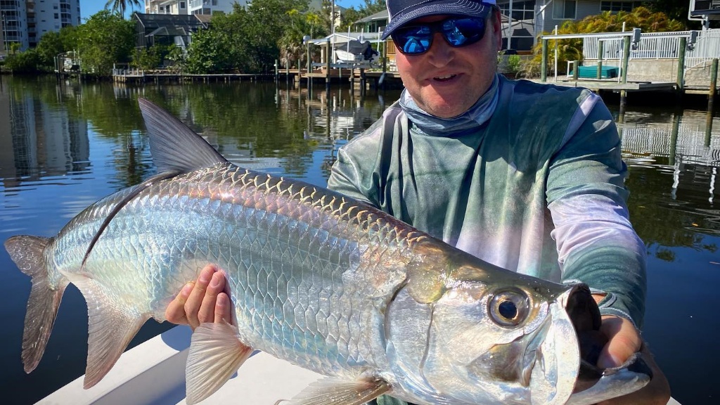 A tarpon fish caught in FL