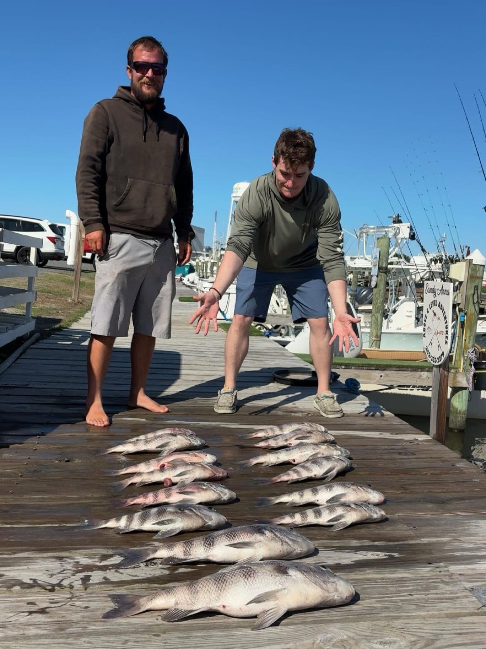 Fresh catch of black drum and sheepshead displayed on wooden dock in Wanchese NC