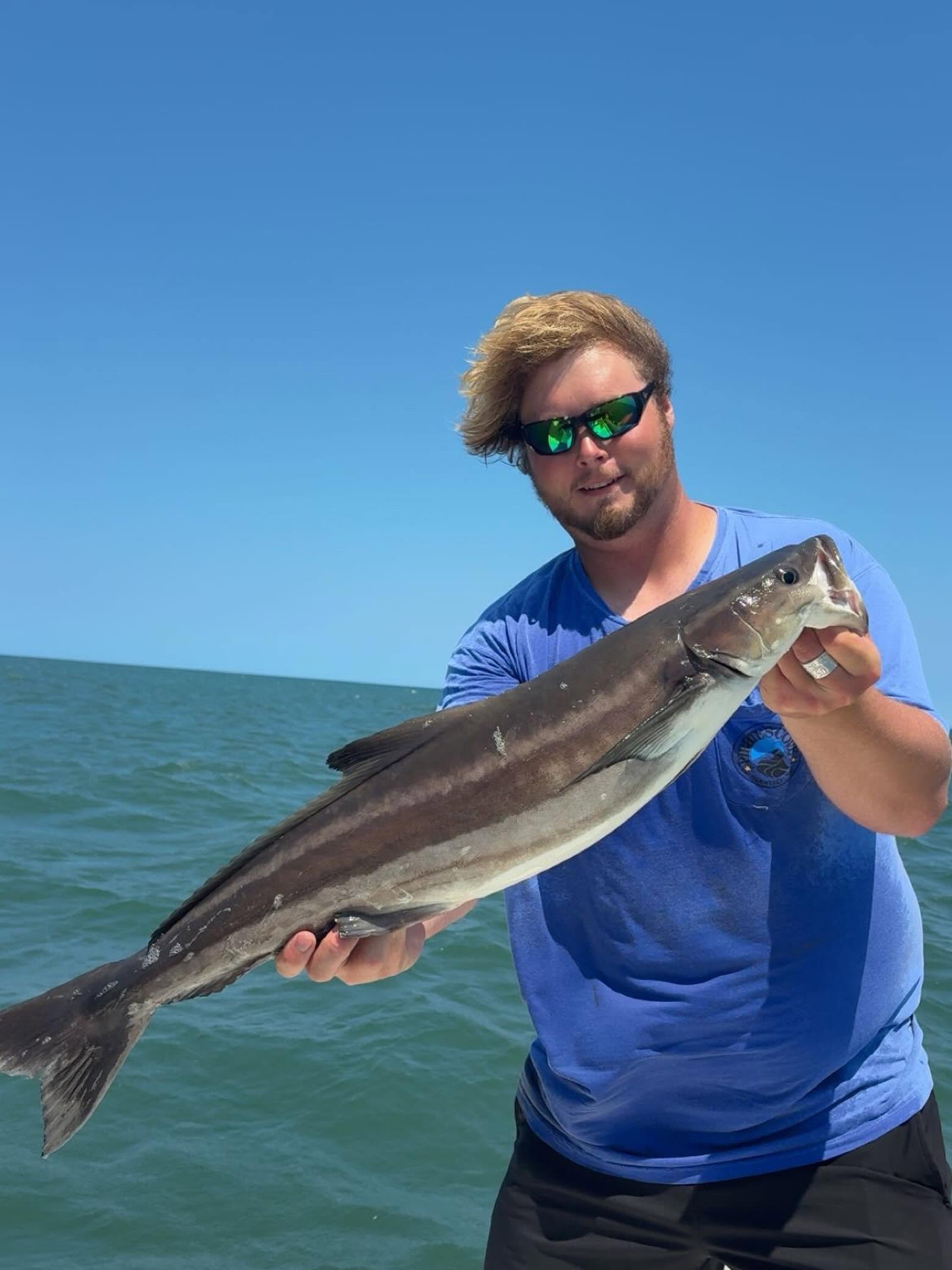 Cobia catch displayed on fishing boat in Wanchese NC waters