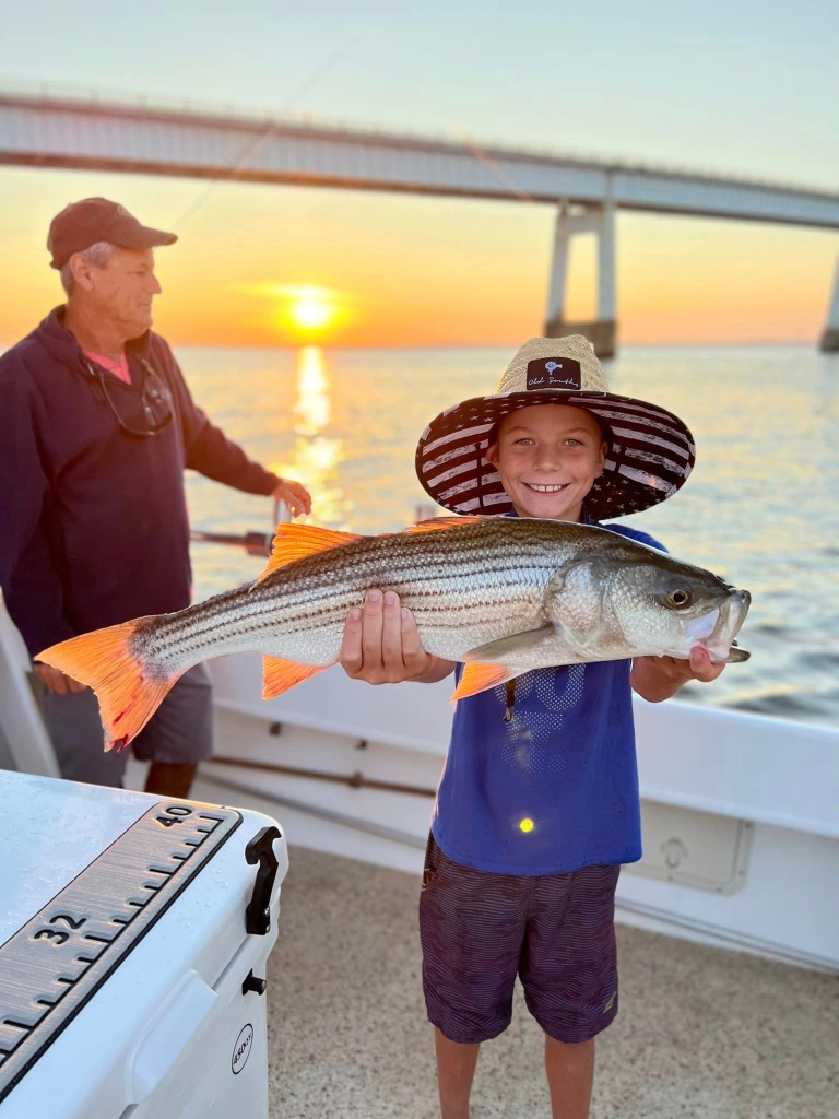 Striped bass caught in MD