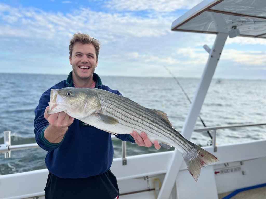 Striped Bass caught by angler in Stevensville
