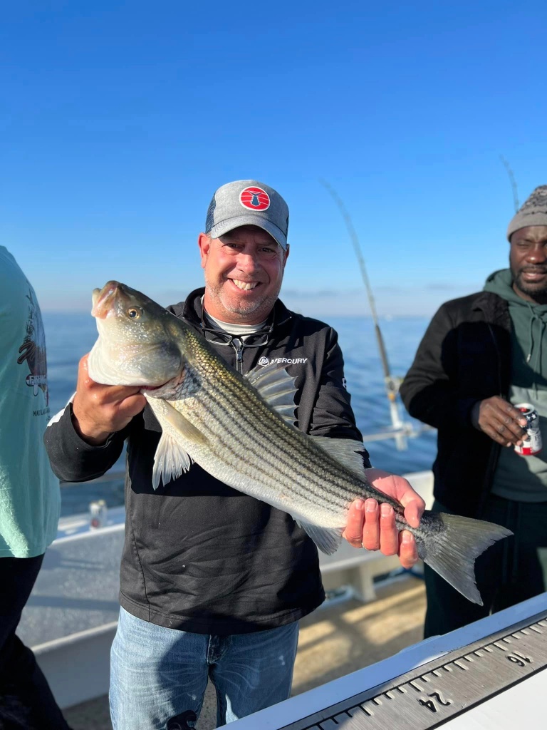 Striped bass caught in Stevensville