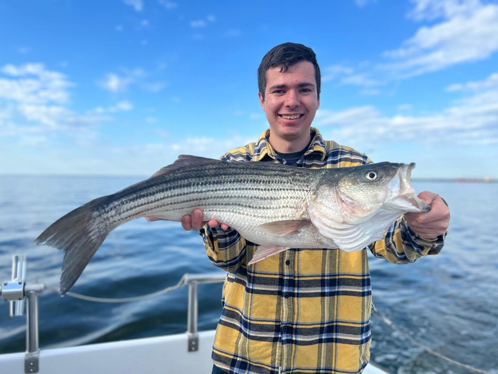 Striped bass caught in Stevensville