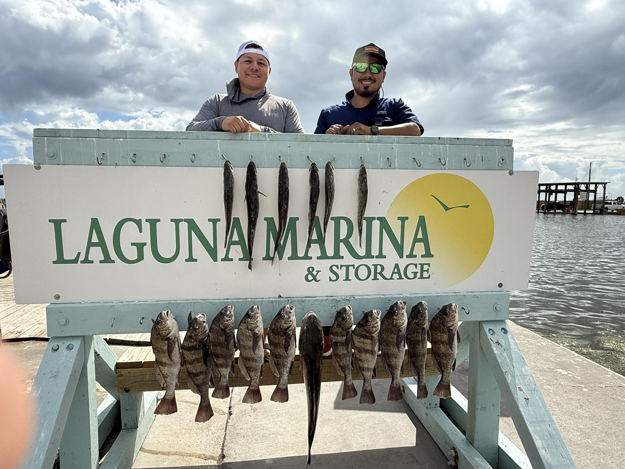 Black drum fishing catch displayed at Laguna Marina in Corpus Christi TX with multiple fish hanging on cleaning station