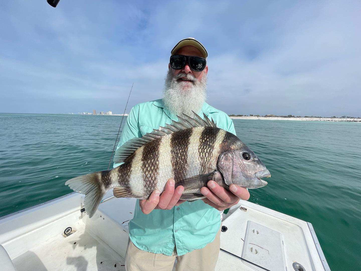 Sheepshead fish caught while fishing in FL