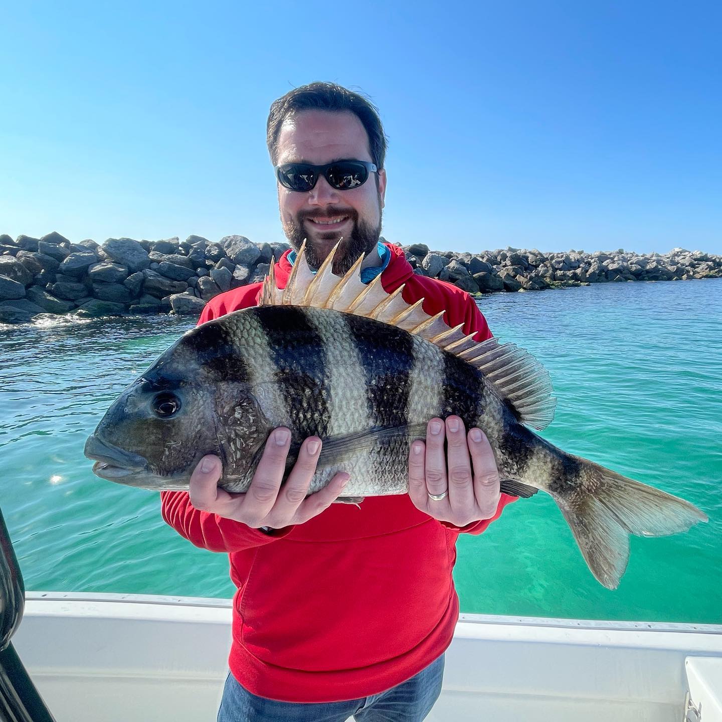 Sheepshead fish caught during fishing in Panama City Beach