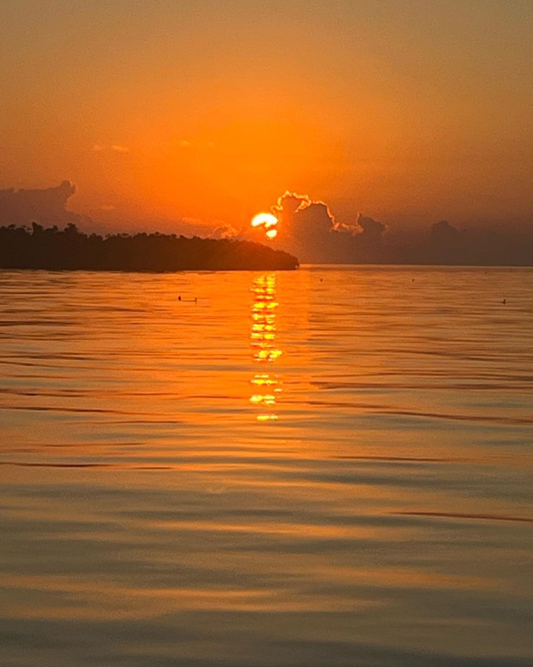 Scenic fishing landscape in FL