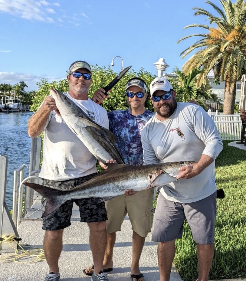 2 massive cobia caught during fishing in Marathon