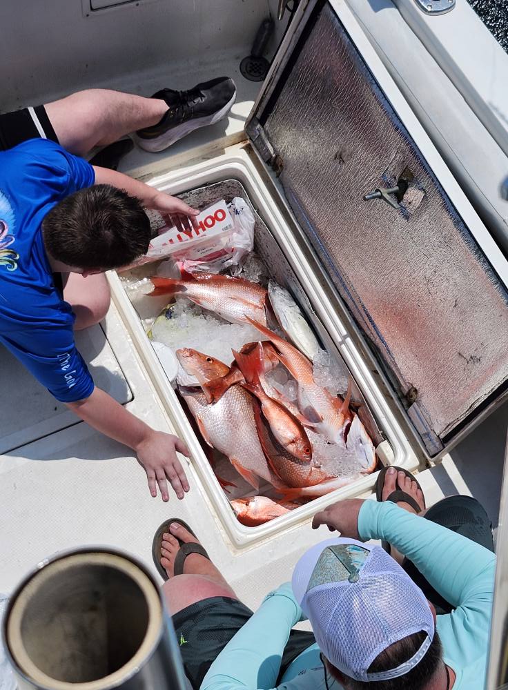 Fresh caught red snapper and other fish displayed in cooler on fishing charter boat in Fort Walton Beach Florida