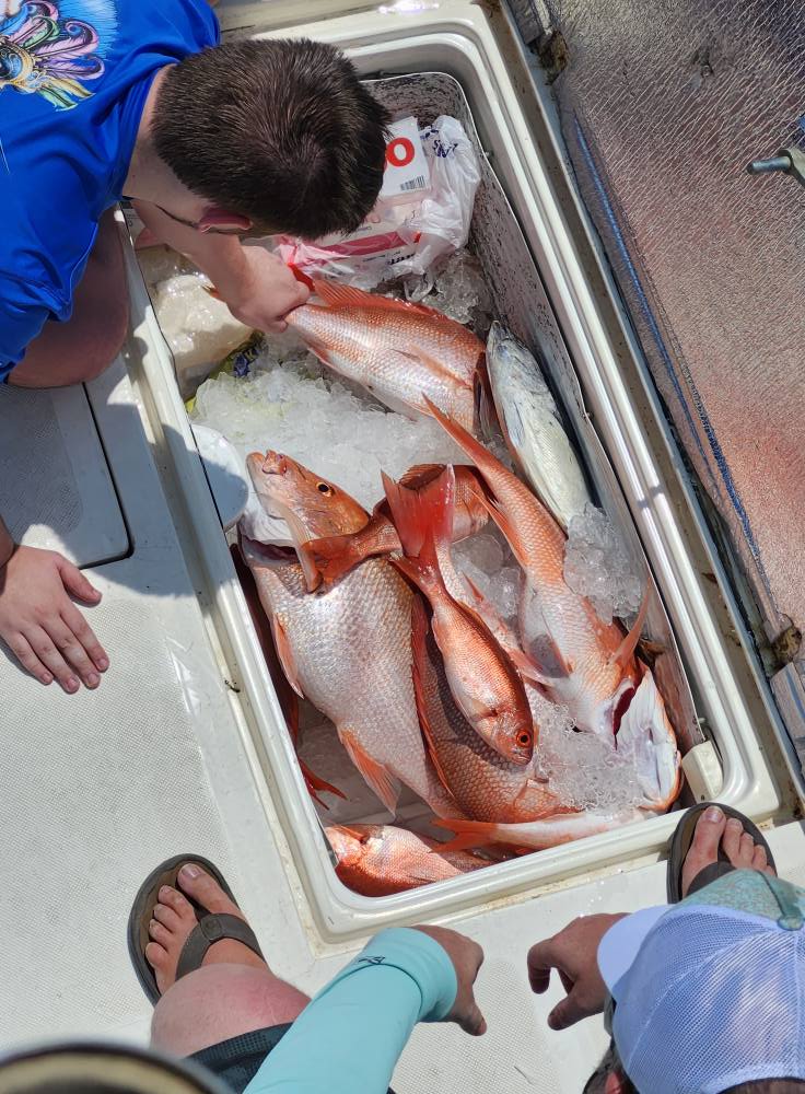 Fresh caught red snapper in cooler on fishing charter in Fort Walton Beach FL