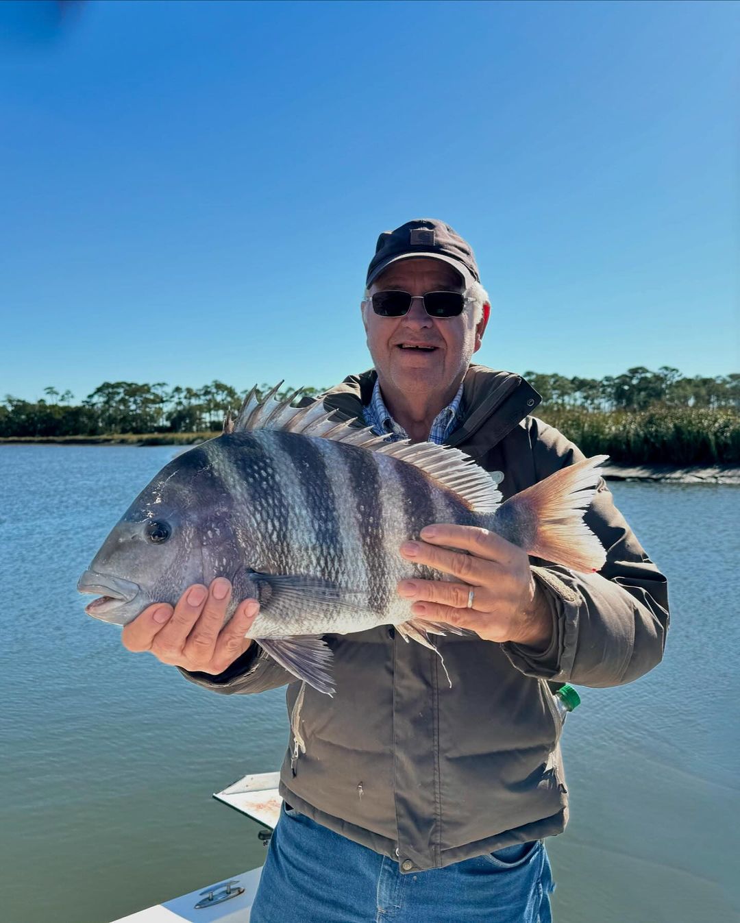 Sheepshead fish caught at Folly Beach