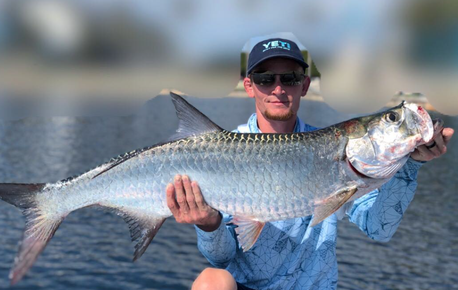 A single Tarpon fish measuring 36 inches, caught while fishing in Stuart, Florida.